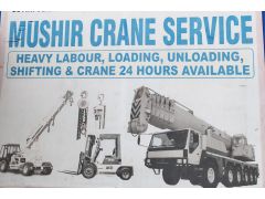 MUSHIR CRANE 